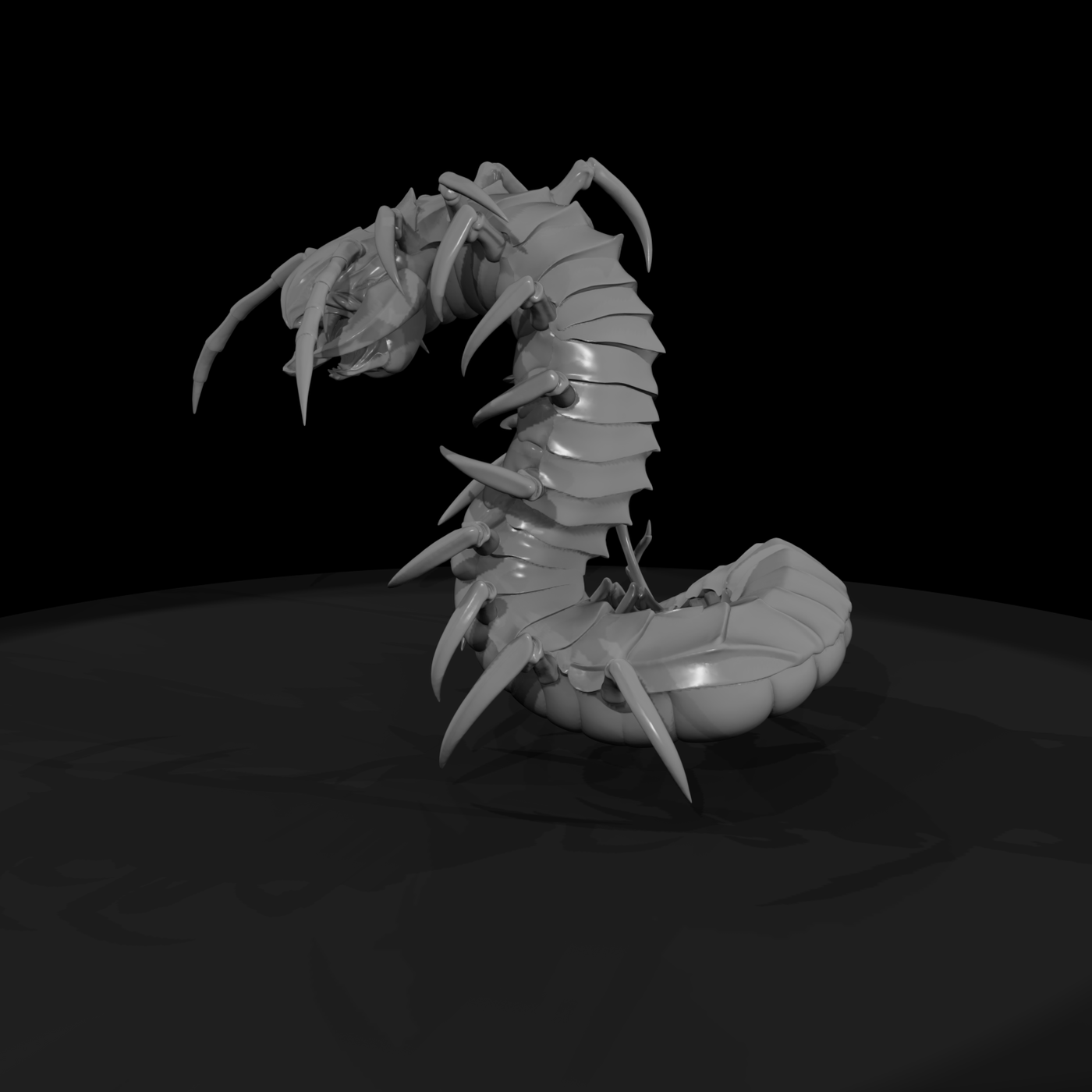 Giant Centipede