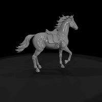 horse-with-scout — thumbnail 6