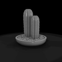 minimalist-potted-cactus-miniature-576781 — thumbnail 5