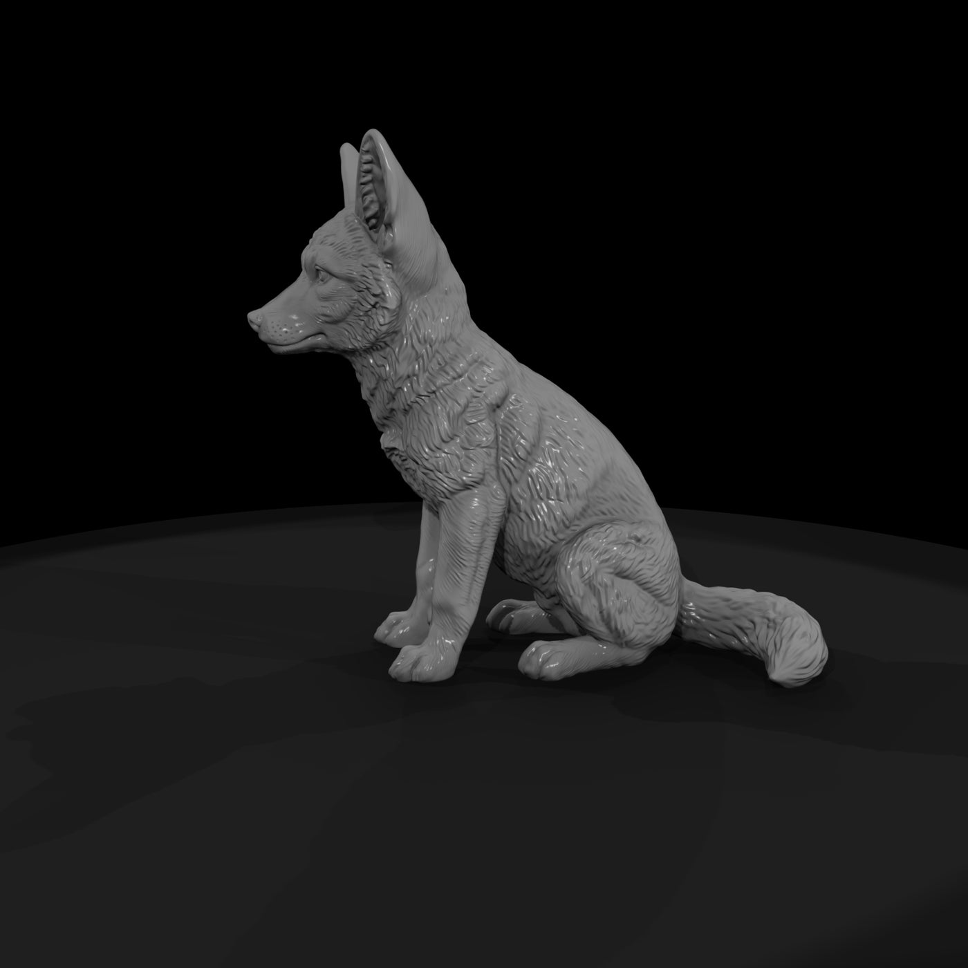 ant-171-coyote-adolescent