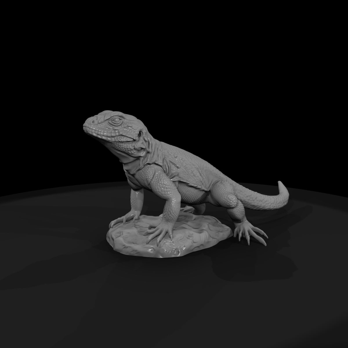 ww-0338-animal-collared-lizard