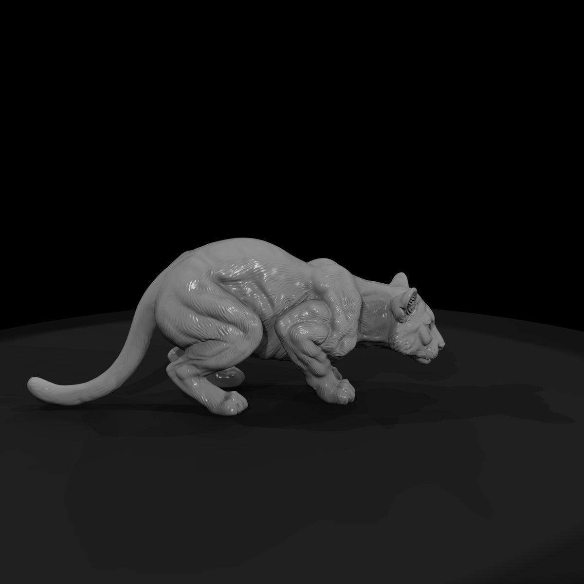ant-146-cougar-female