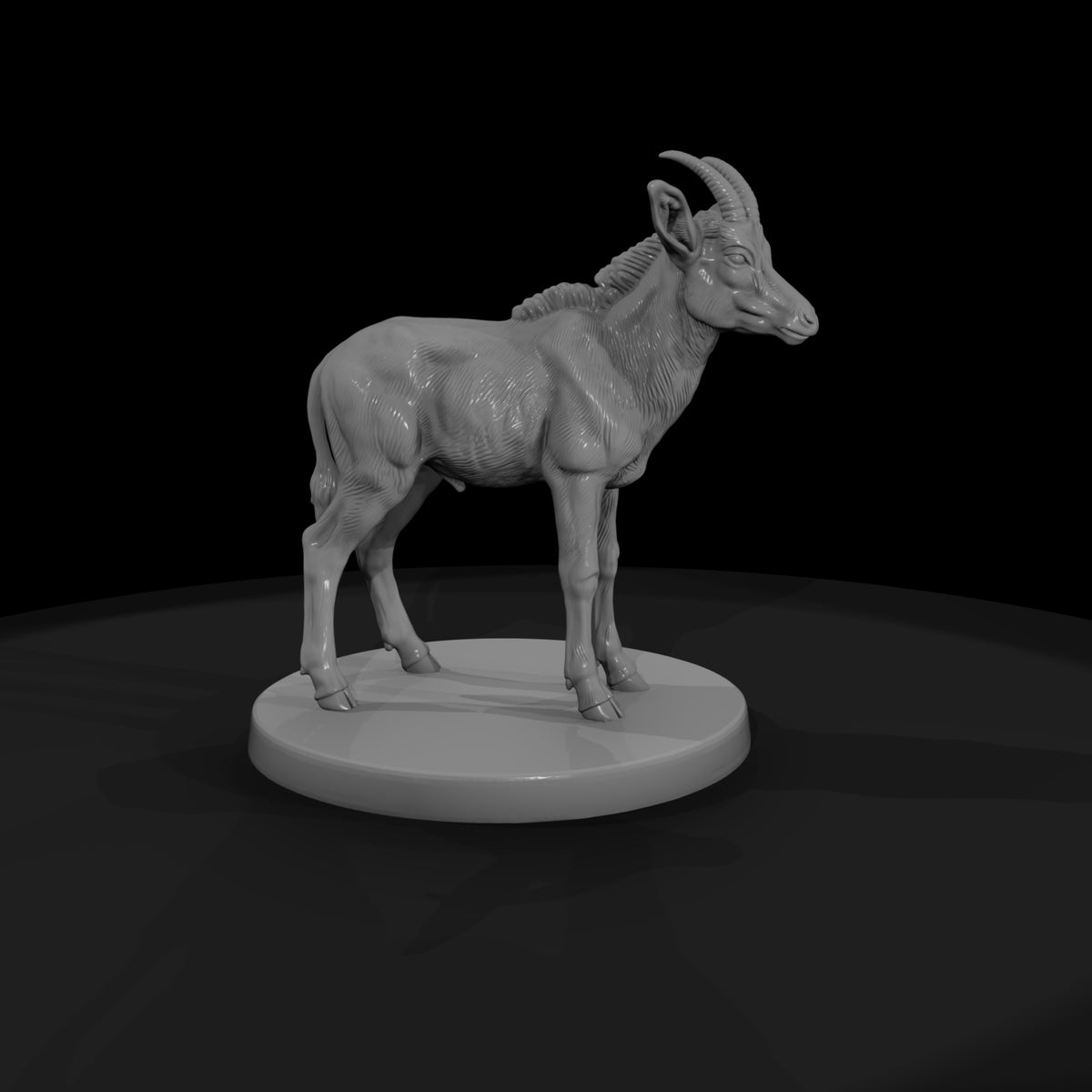 ant-234-sable-antelope-adolescent