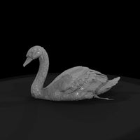 ant-122-mute-swan-female — thumbnail 4