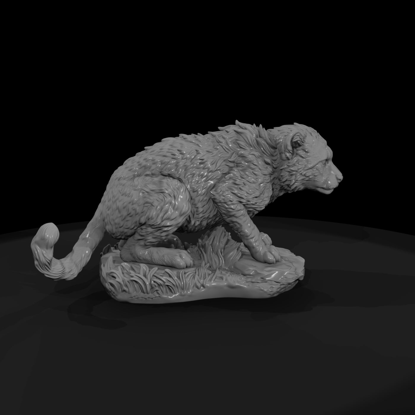 ant-012-cheetah-adolescent