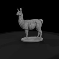 ant-217-llama-male — thumbnail 4