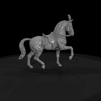 cir-126-animal-prancing-white-horse — thumbnail 4