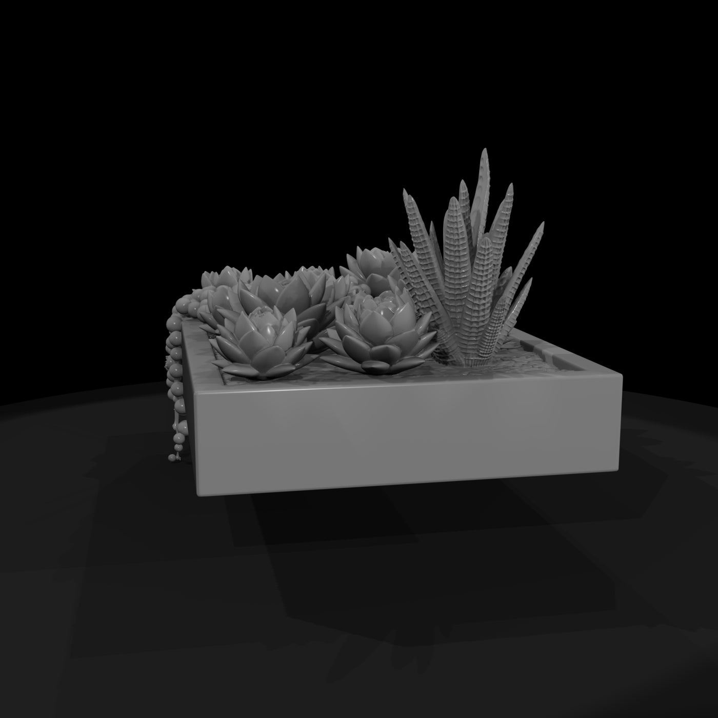 stylized-monochrome-succulent-garden-planter-phnxh