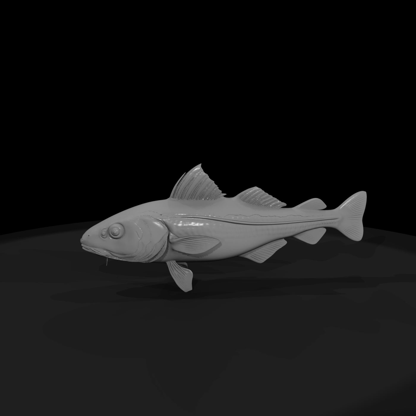 atlantic-cod-untextured-base-mesh-278575
