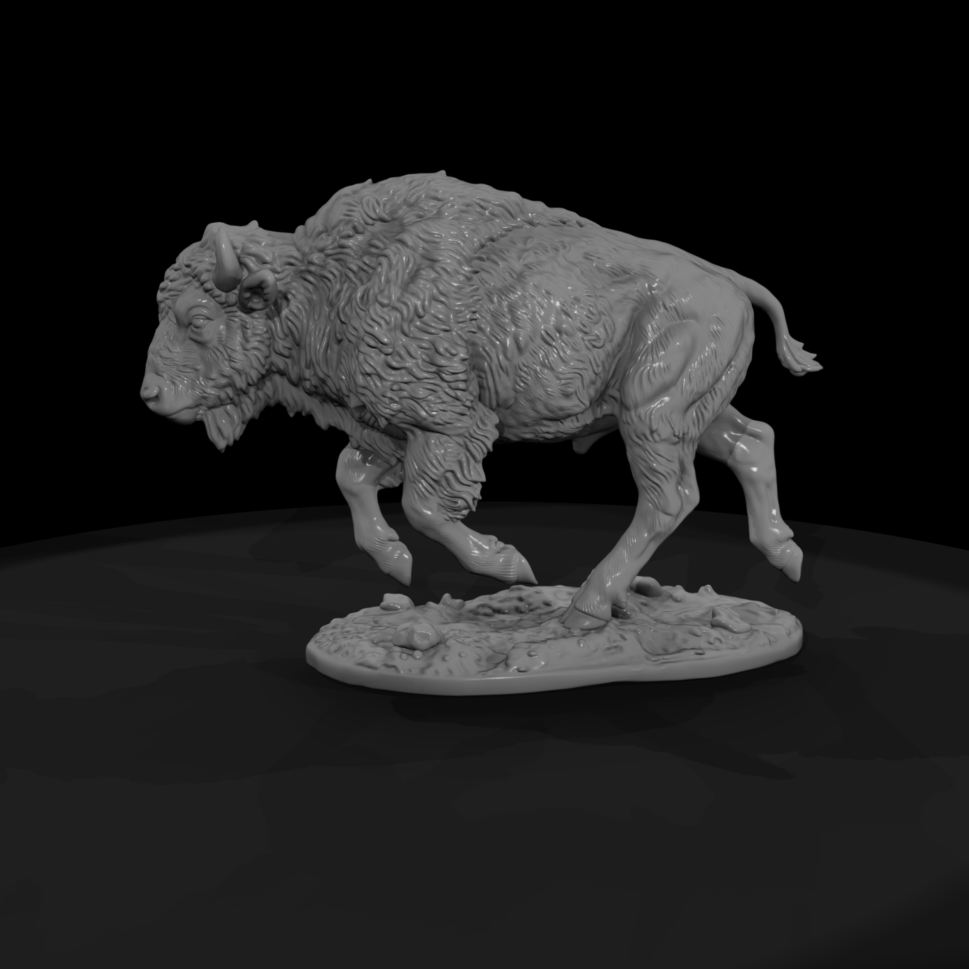 Charging Young American Bison
