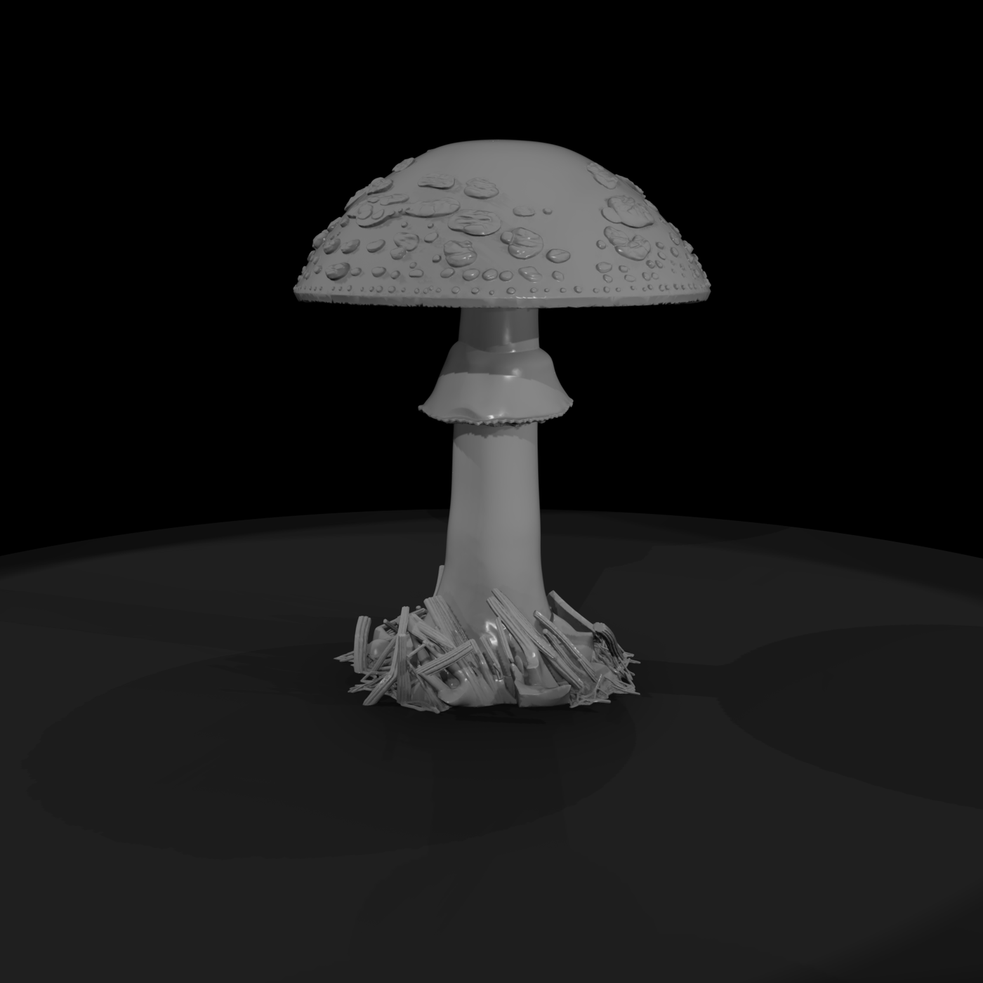 Fly Agaric Mushroom