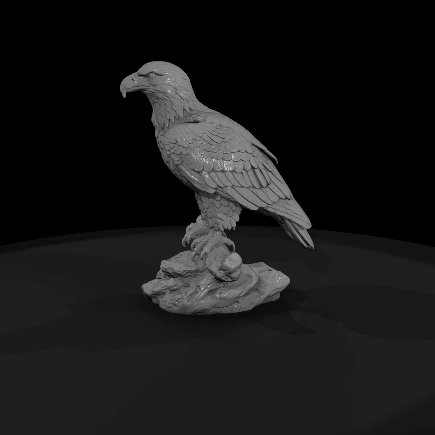 ant-112-bald-eagle-male