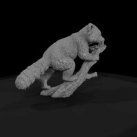 ant-148-red-panda-male — thumbnail 4