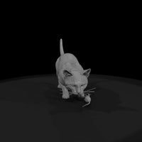 a-collection-of-housecats-bengal-82b24b8e-meshref — thumbnail 4