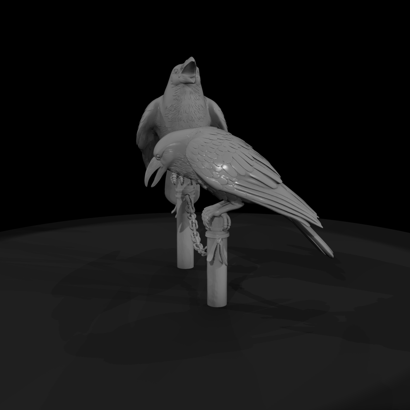 Detailed Raven Pair