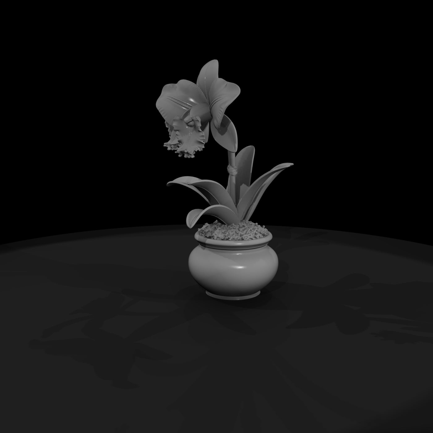 stylized-potted-cattleya-orchid-3d-model-si5zgg4s