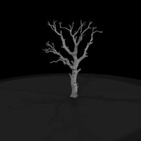 20260612-dead-bare-tree-field-edf7fcaef4 — thumbnail 4
