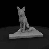 ant-170-coyote-female — thumbnail 4