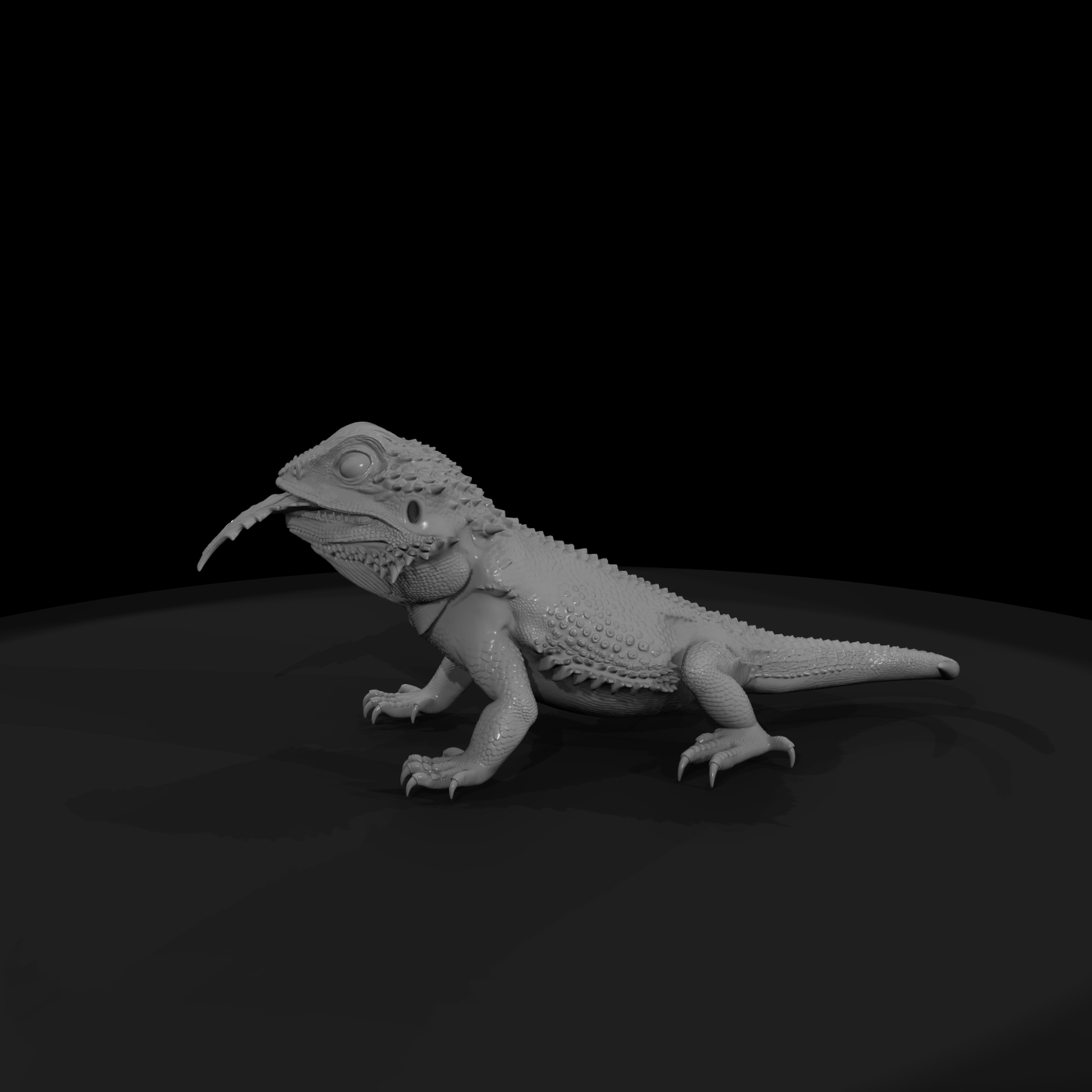 Bearded Dragon