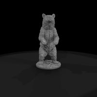 ww-0320-animal-black-bear — thumbnail 4