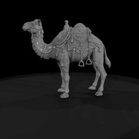 cir-122-animal-circus-camel — thumbnail 4