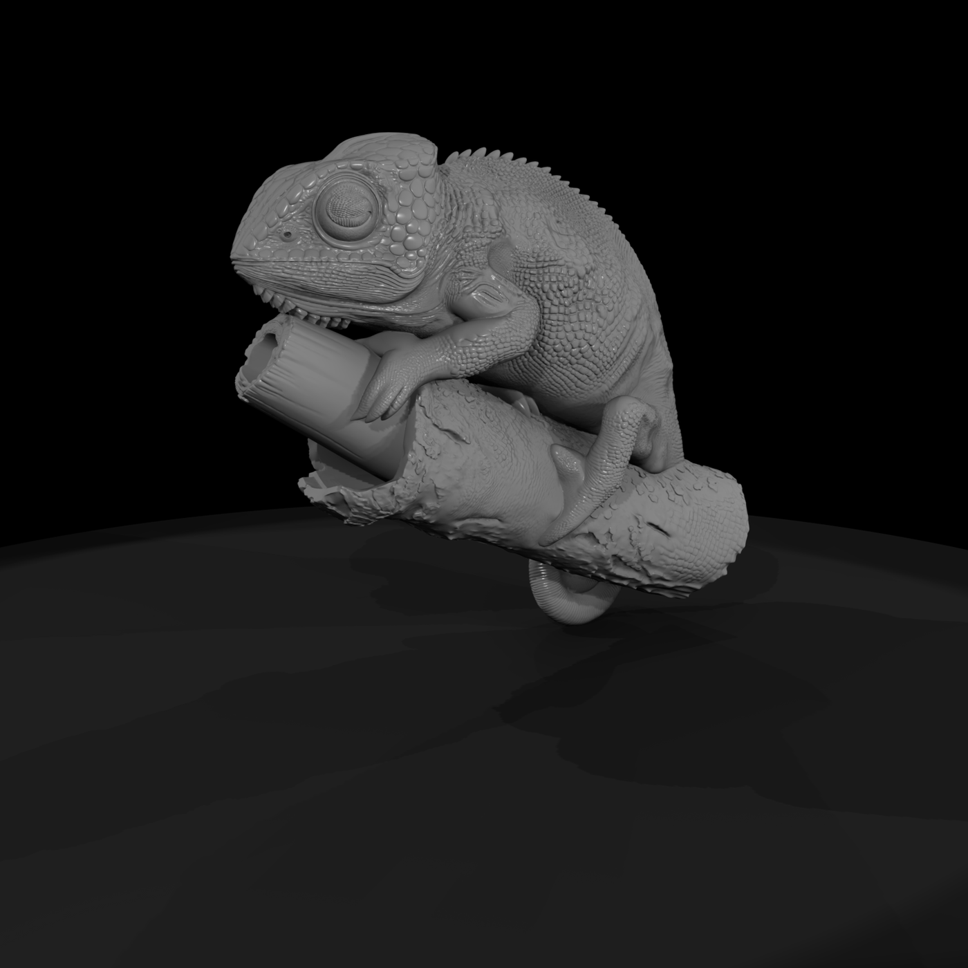 Chameleon on Branch — Sculpture