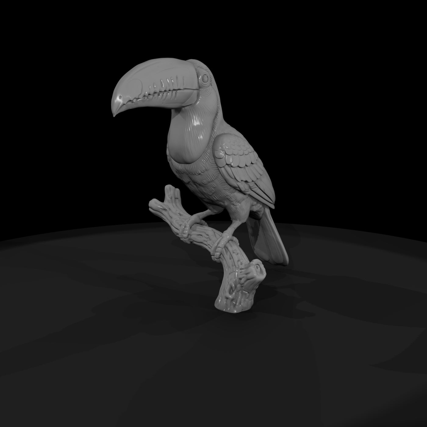 ant-286-toco-toucan-male