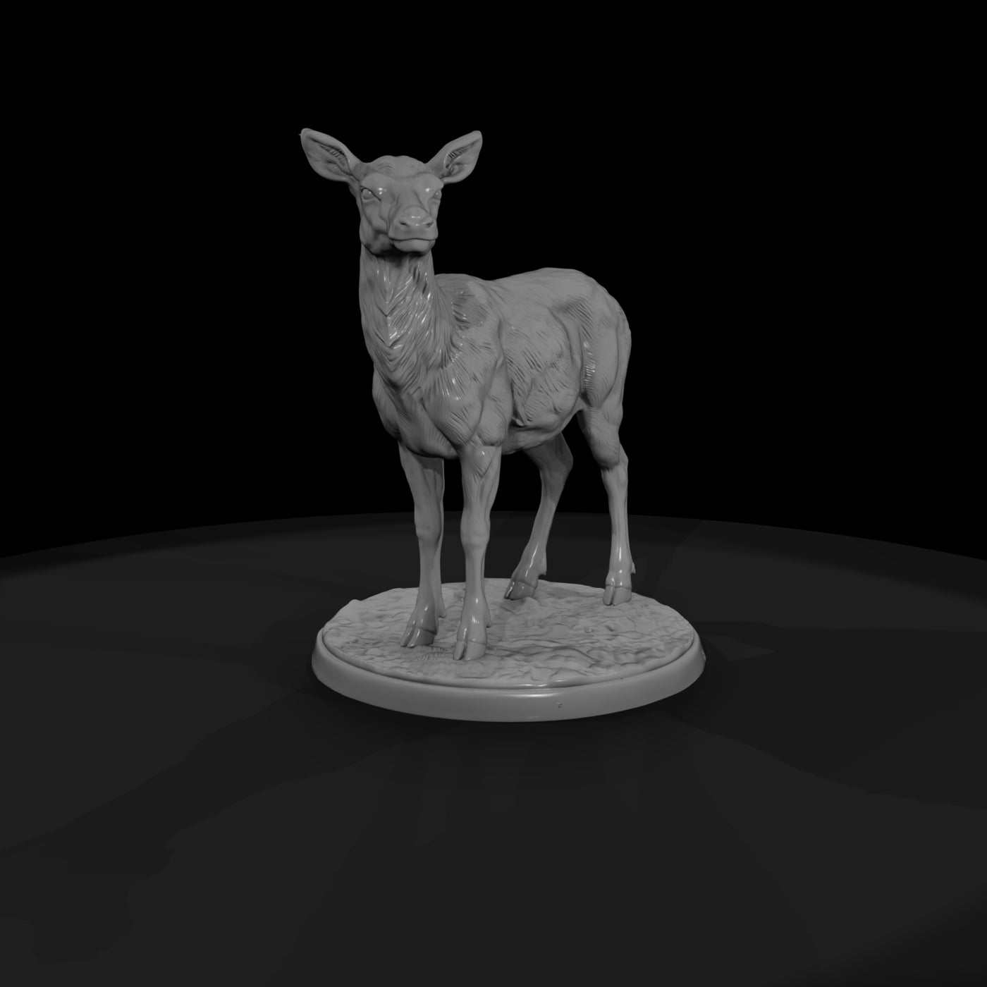 ant-044-elk-female