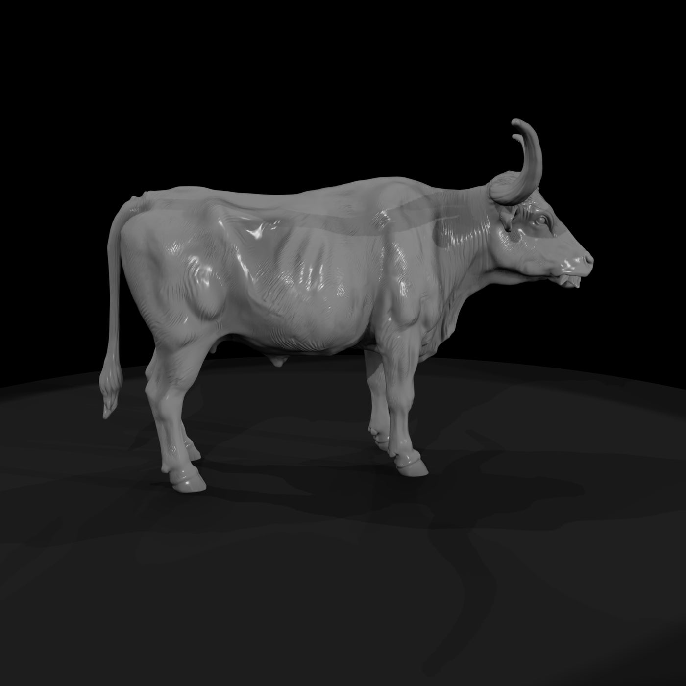 ww-0295-animal-longhorn-cow