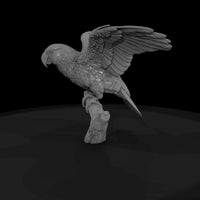 ant-133-eclectus-parrot-male — thumbnail 4