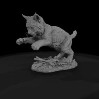 ant-162-bobcat-adolescent — thumbnail 4