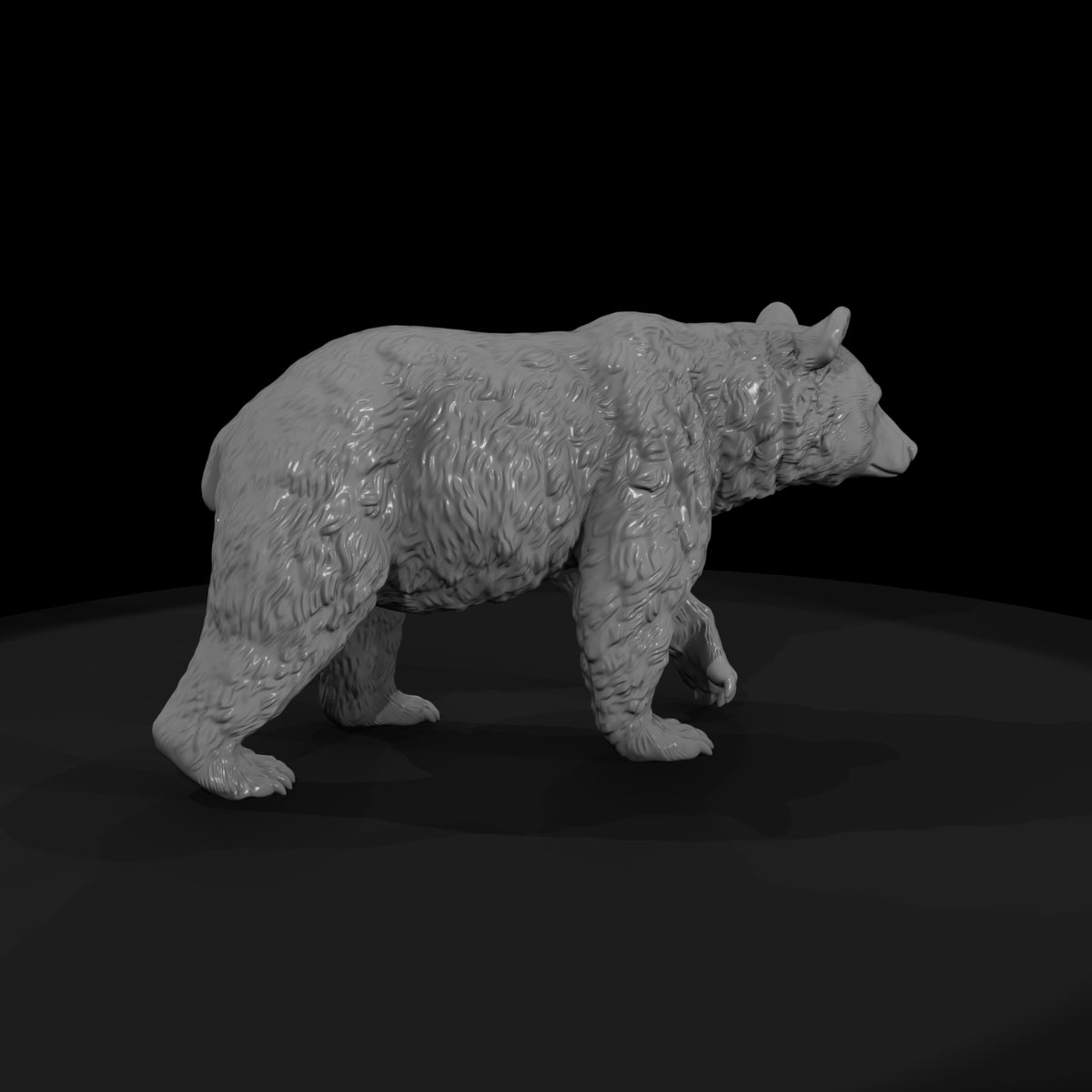 ant-212-american-black-bear-female