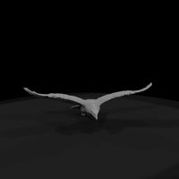 ant-115-golden-eagle-male — thumbnail 4