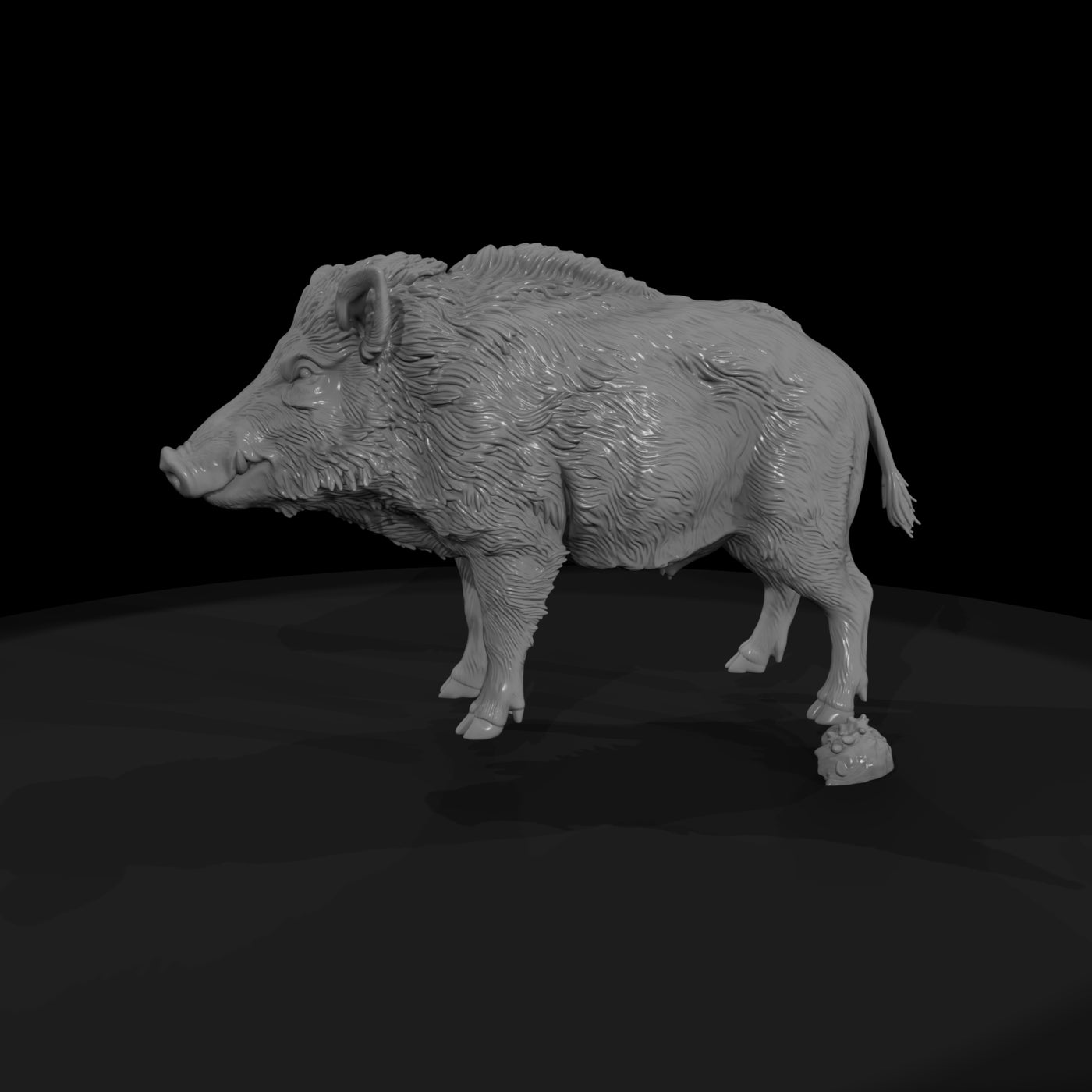 ant-074-wild-boar-female