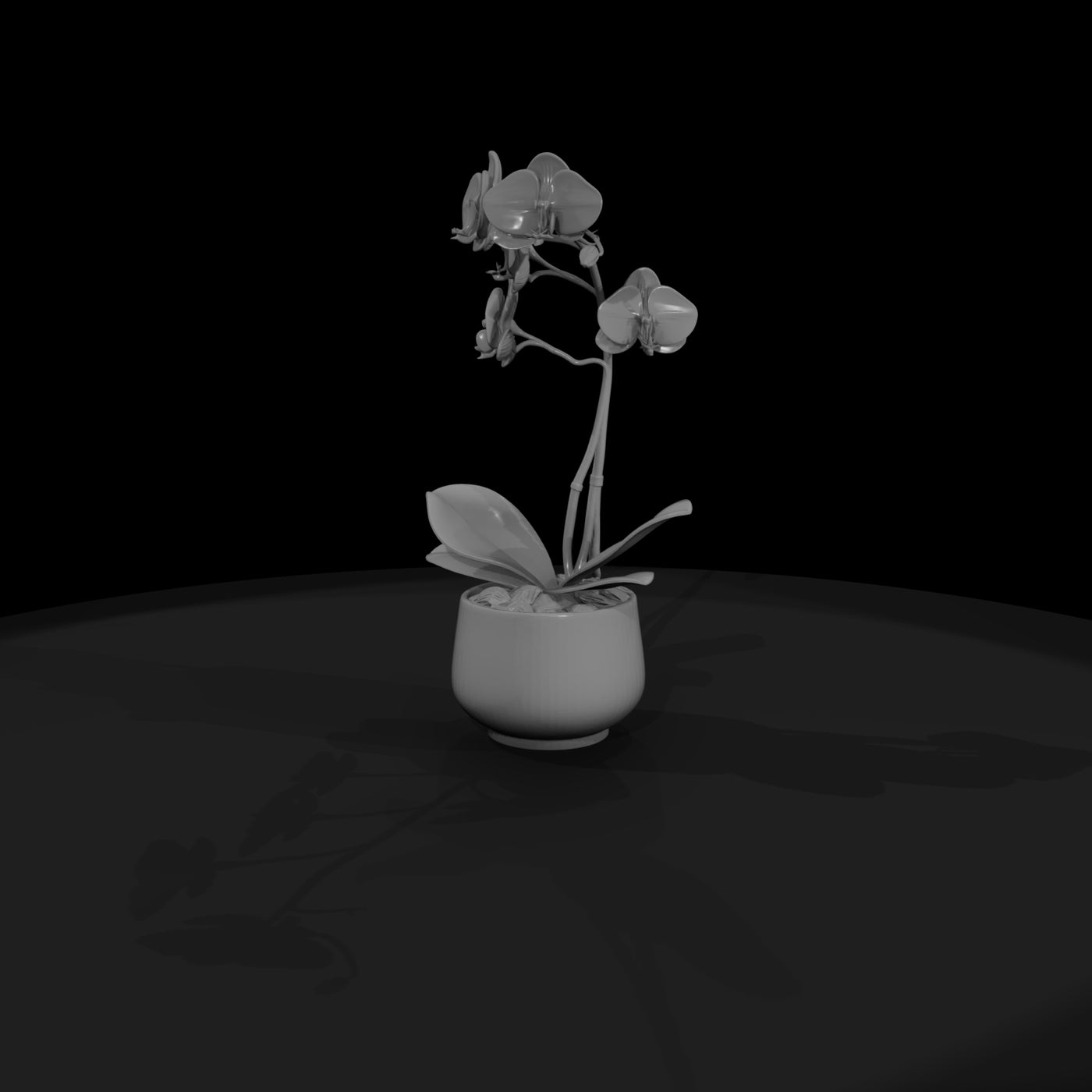 stylized-monochrome-potted-orchid-3d-model-xfzrzzj