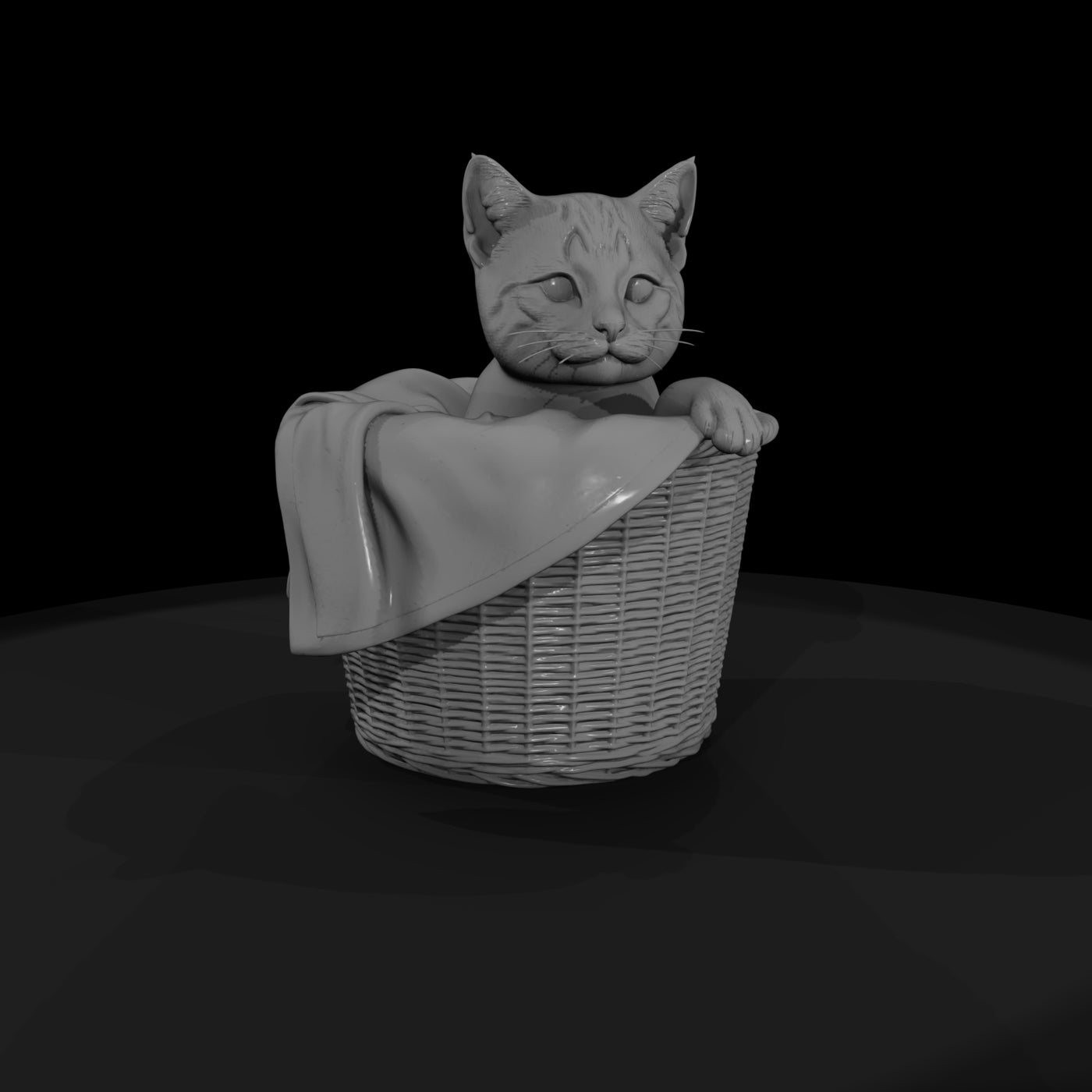 a-collection-of-housecats-curious-262ed8b6-meshref