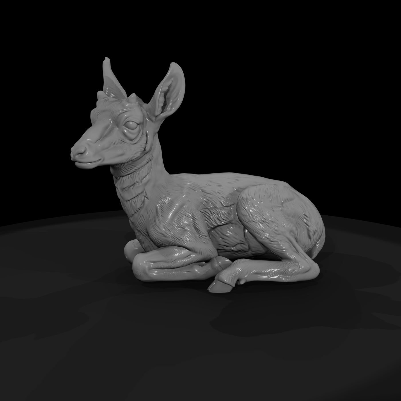 ant-054-pronghorn-adolescent