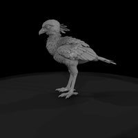 ant-294-secretary-bird-adolescent — thumbnail 4
