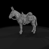 ww-0277-animal-mule — thumbnail 4