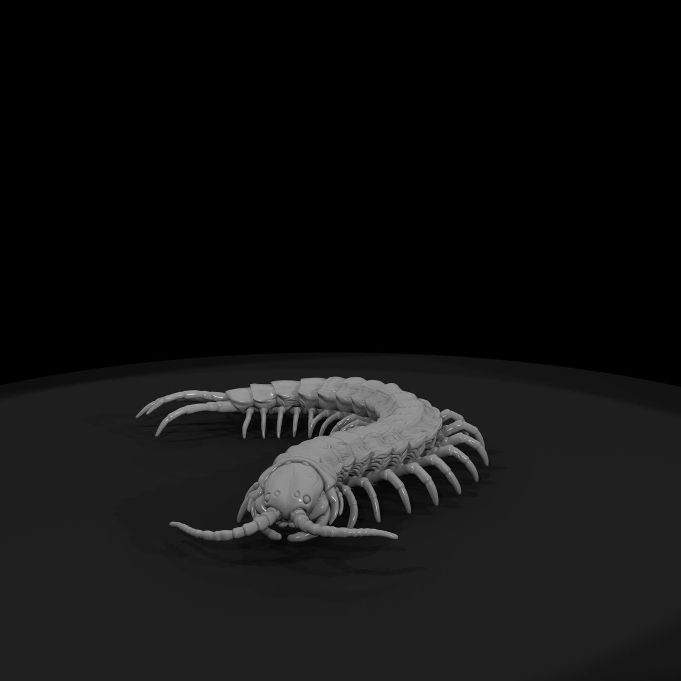 ww-0341-animal-giant-centipede