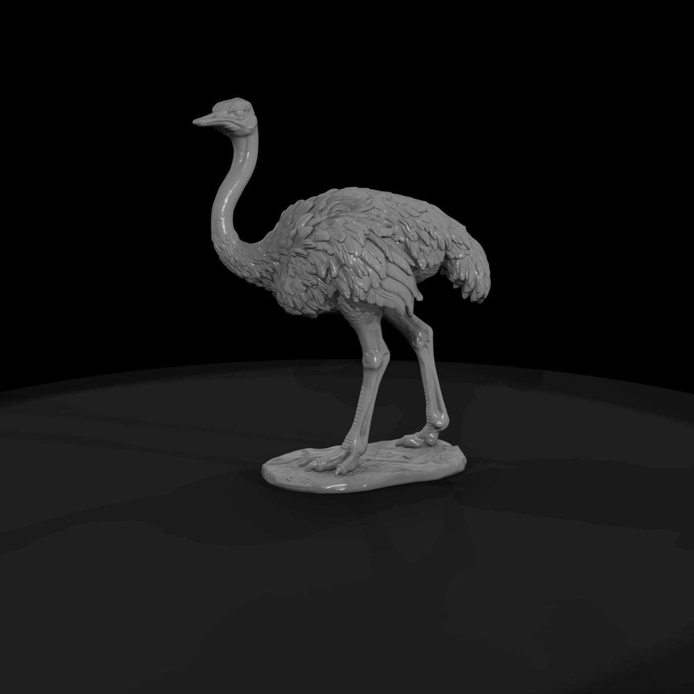 ant-083-ostrich-female