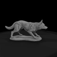 ww-0306-animal-cattle-dog — thumbnail 4