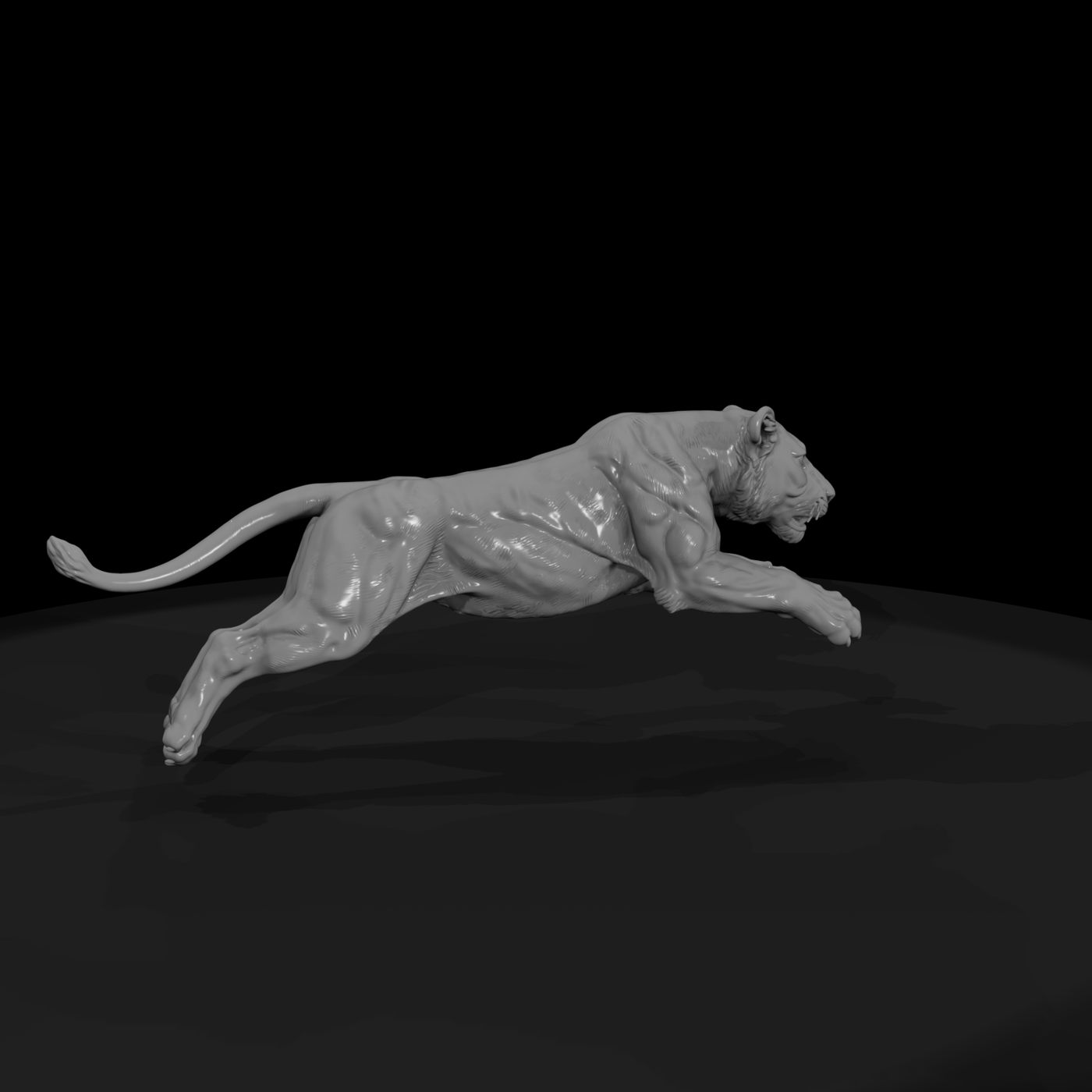 Cir 127 Animal Big Cat Leap