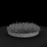 stylized-blue-grass-tuft-3d-model-k34nfxv5-05ef2d — thumbnail 5