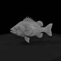 spiny-reef-predator-3d-printable-fish-miniature-852522 — thumbnail 5