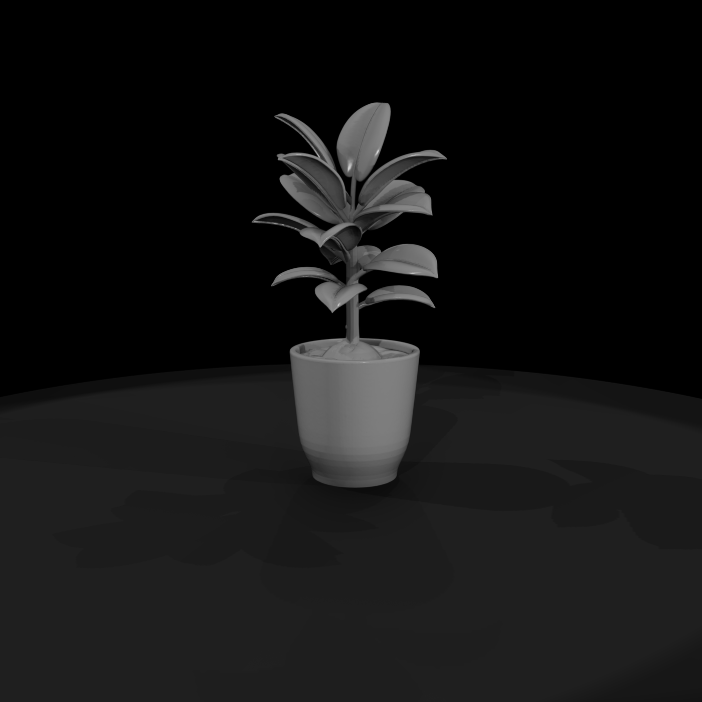 Untextured Potted Rubber Plant 3D Model Gkku0Lue