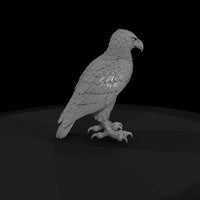 roc-mythical-giant-bird-437d32 — thumbnail 4