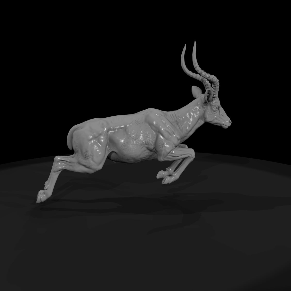 ant-064-impala-male