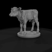 ww-0297-animal-calf — thumbnail 4
