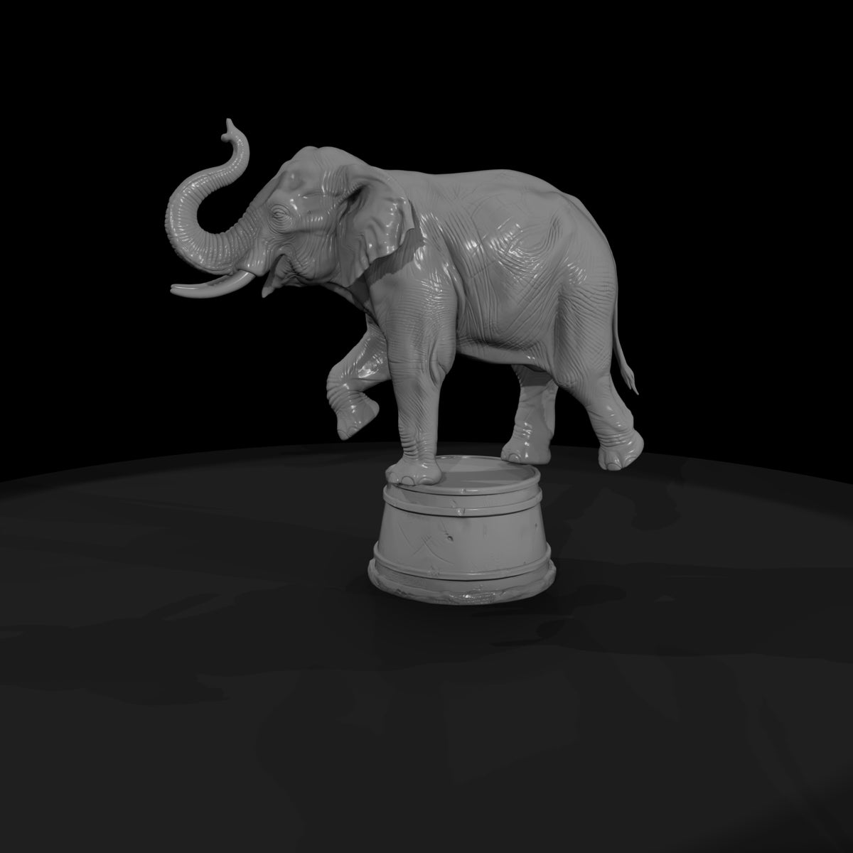 cir-111-animal-circus-elephant-on-tub